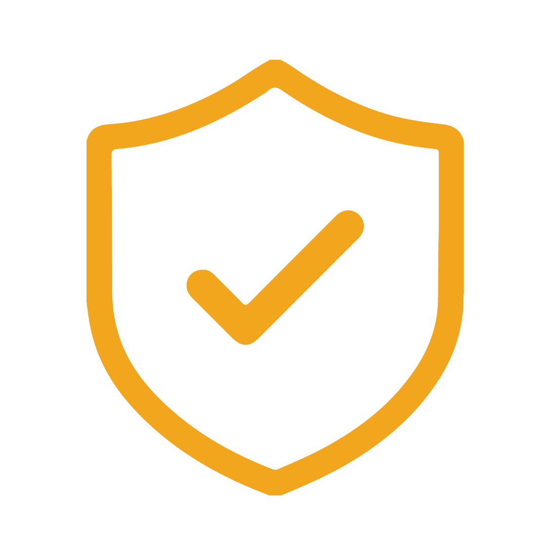 Protect Assets Icon