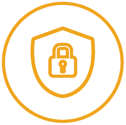 Cyber Security Icon